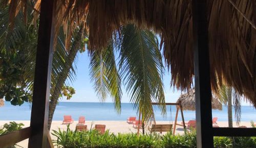 Bungalow - Ocean Front 