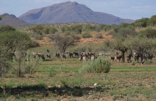 Chausib House | Rooisand Desert Ranch