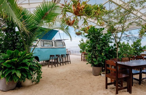 Hospital Apartment | Green Oasis at 21, City Views and Wonderland Vibes!