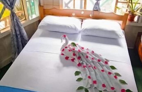 Puerto Narino Hotel | hotel Tatüane mundo Amazónico