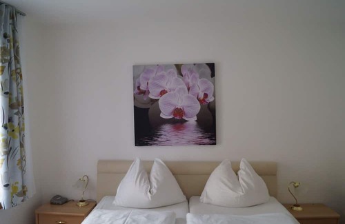 Unterach am Attersee Apartment | Basic garden apartment - Seehaus Unterach