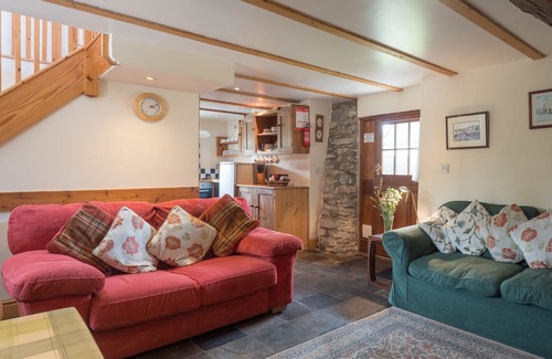 Pumpsaint Cottage | Brynhyfryd Cottage, Llanwrda