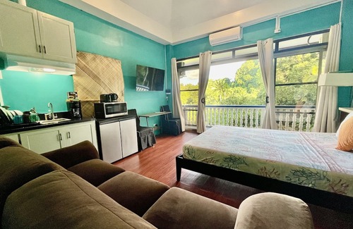 Koror Apartment | Ngermid Oasis - Spacious Studio Loft W/ Kitchen & Garden Views