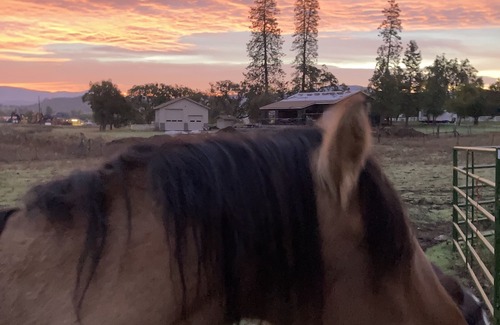 Eagle Point Other | Open for the Holidays