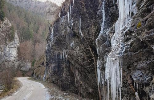 Intregalde House | Cabana de pe Vale