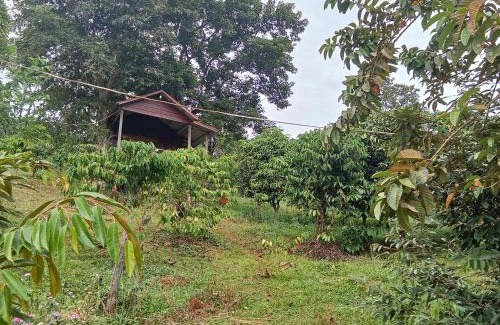 Ban Lung Bed & Breakfast | Coffee Tanam Leisure Lodge&Tours