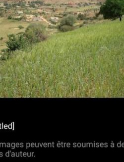 Nador Apartment | شقق مفروشة و فارغة للكراء بالناظور