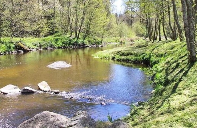 Camping Flower La Rochelambert **** - Mobile home Premium Côté Piscine 3 rooms 4 people