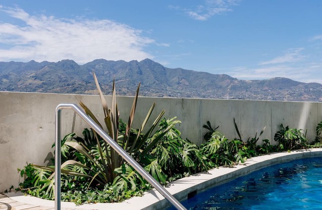 Green Oasis at 21, City Views and Wonderland Vibes!