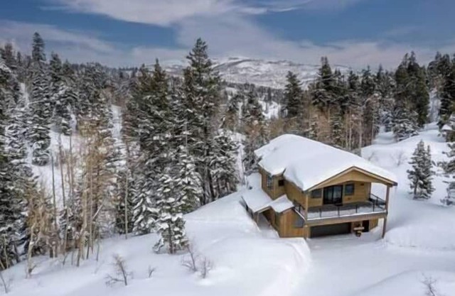 Bear Necessities w/PC ski views