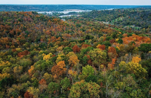Big Run Hideaway with Hot Tub