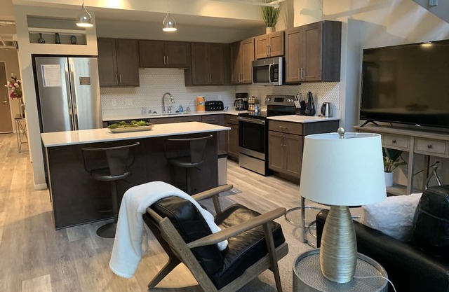 Downtown Furnished 2BR, 2BA Apt 103 by R7 Lofts