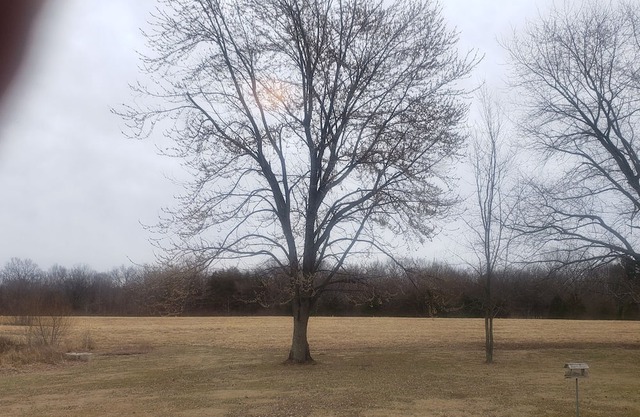 Primitive camping for April 8th 2024 southern illinois eclipse