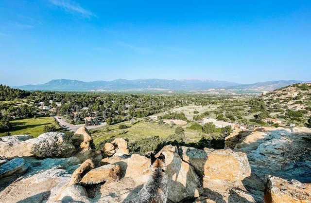 ✦LUX Guest Suite✦ Hiking Trails┃Mtn Views┃Grill