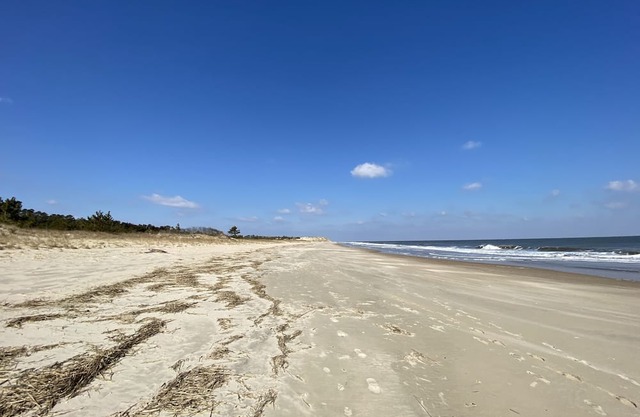 Detached in law suite. Murphy bed, close to the hospital, 20 mins from the beach