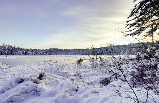 Cozy Conway Retreat Near Skiing + Hiking Trails!