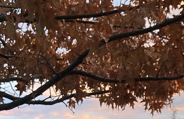 Open for the Holidays