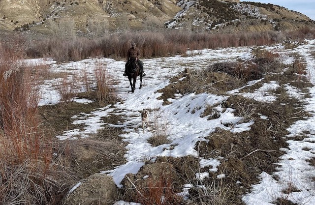 The Bunk House at 4M