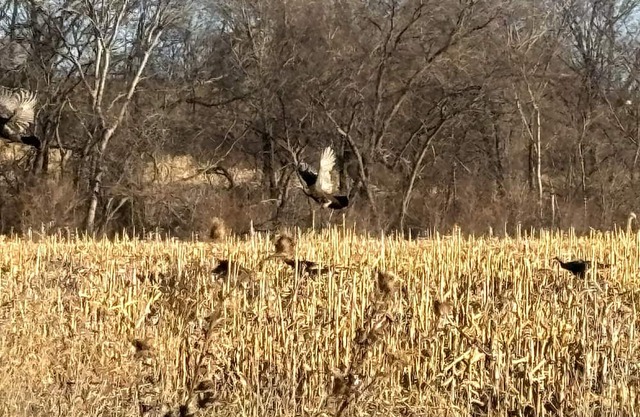 250+ Acre Private Hunting/Fishing Lodge - 5 minutes to city