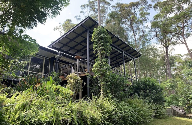 Rainforest Retreat , Pet Friendly