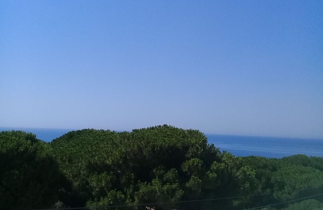 Maison a Louer a la Grotte Bizerte