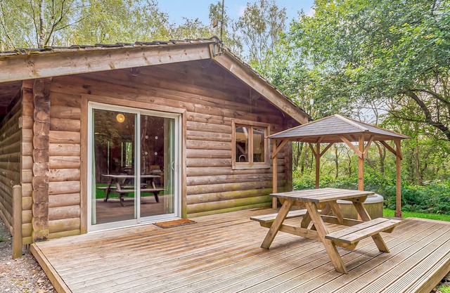 Squirrel Log Cabin 4