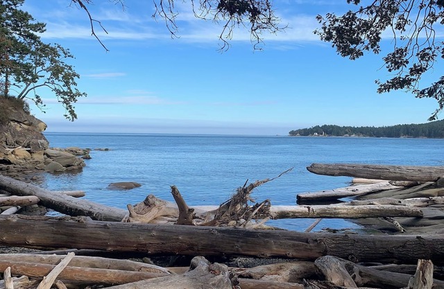 Where the Forest Meets the Ocean
