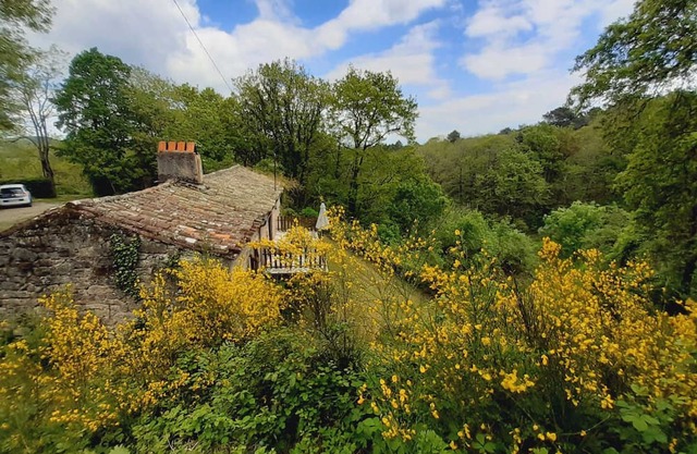 Aymes - VAOUR - Gîte