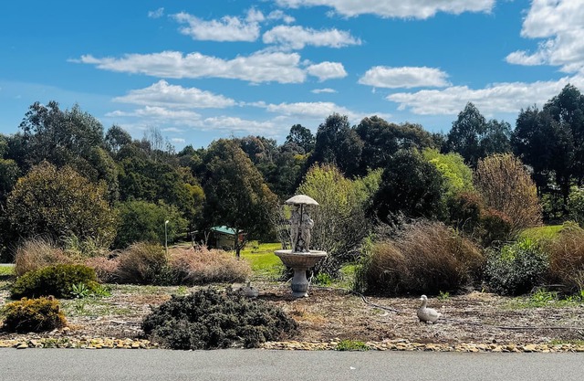 Alaaya where comfort, serenity, and family togetherness await.