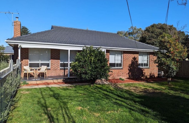 Gwendoline Cottage, Pets, Main St. Station