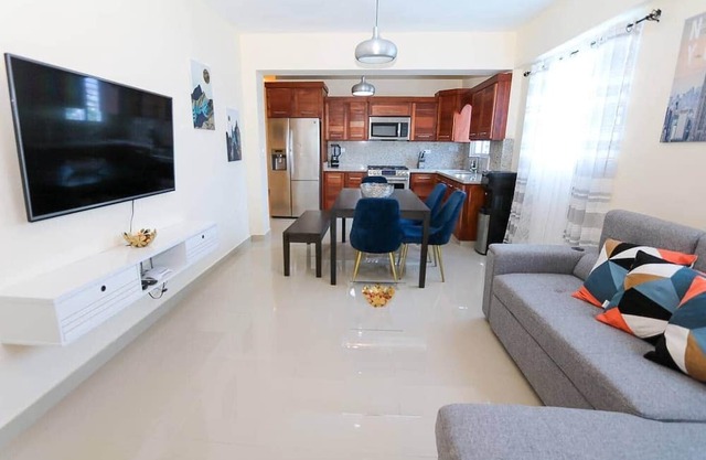 LUXURY 2BR/2BA APT W. A|C Garage & ROOF TOP
