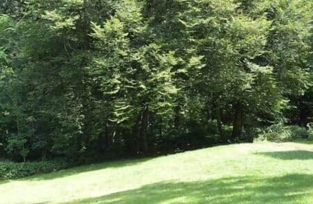 Pause Nature 30N living in nature in peace and quiet