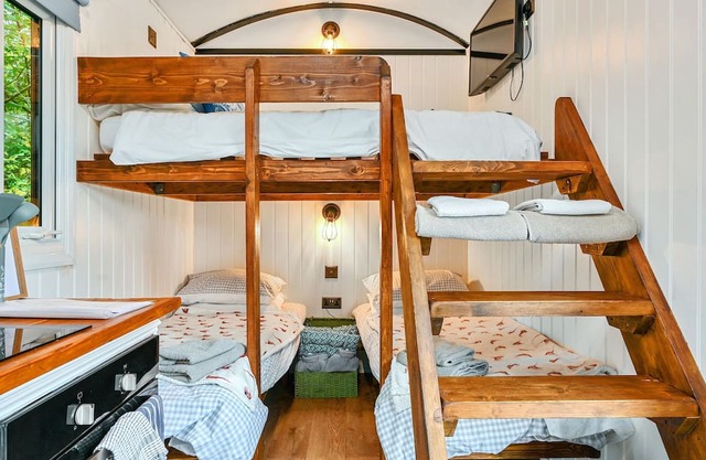 Stag Shepherds Hut - a holiday let that sleeps 4 guests in 1 bedroom