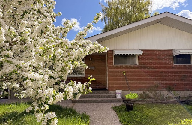 Cozy 3BD Basement Suite, 1 Bath in Varsity