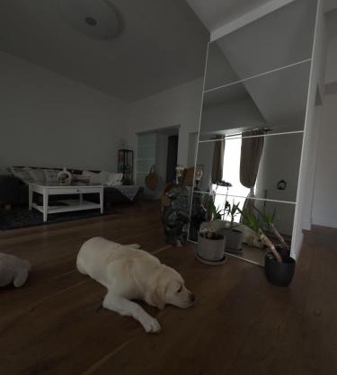 Wohnung in Zentrum Bonn