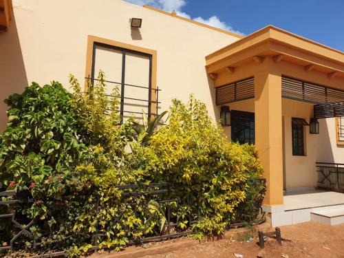 Catch 22 Lounge & Lodge