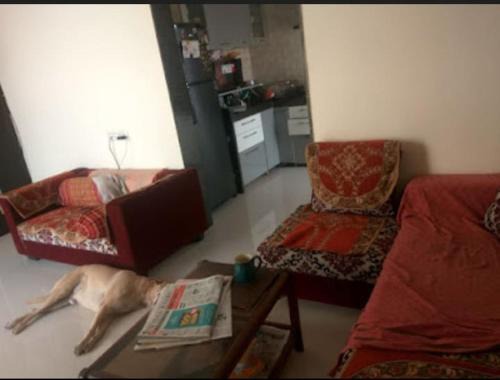 SERENE HOMESTAY Ulwe