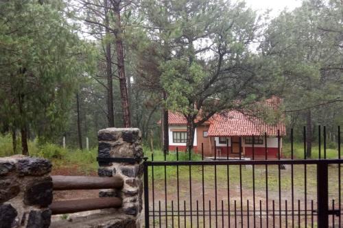 Cabaña ecológica en el bosque